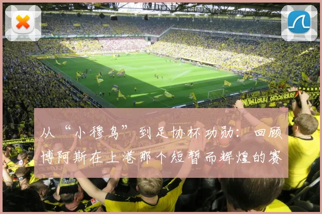 从“小穆鸟”到足协杯功勋:回顾博阿斯在上港那个短暂而辉煌的赛季