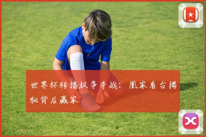 世界杯转播权争夺战:凰家看台揭秘背后赢家