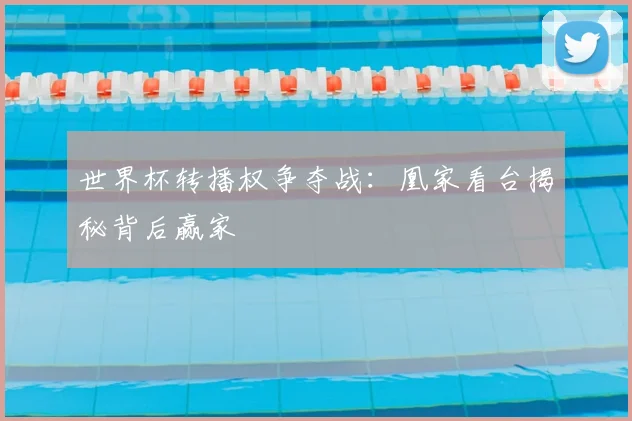 世界杯转播权争夺战:凰家看台揭秘背后赢家